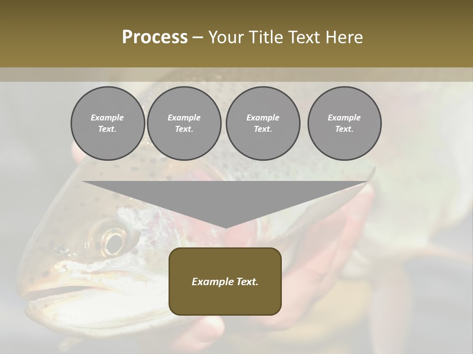 Rainbow Trout Caught Fly Fishing PowerPoint Template