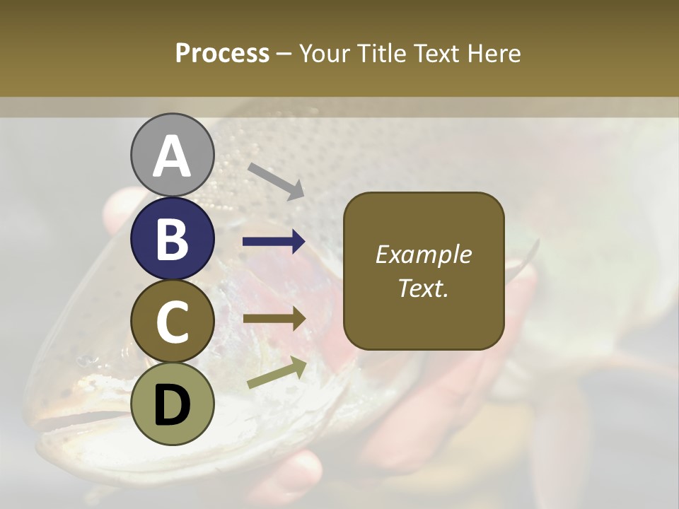 Rainbow Trout Caught Fly Fishing PowerPoint Template