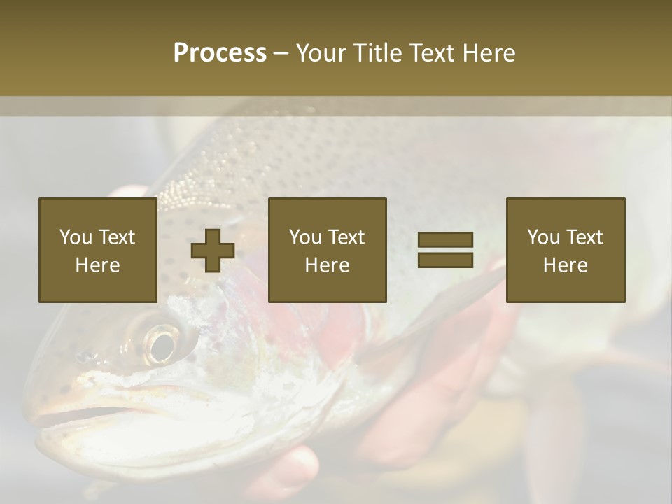Rainbow Trout Caught Fly Fishing PowerPoint Template