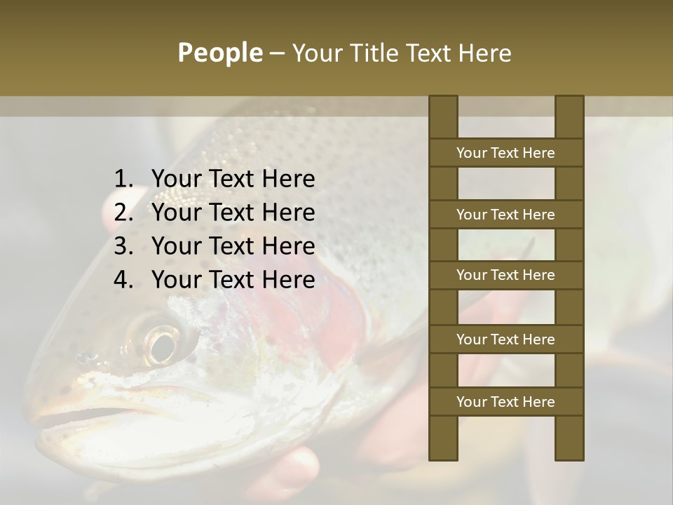 Rainbow Trout Caught Fly Fishing PowerPoint Template