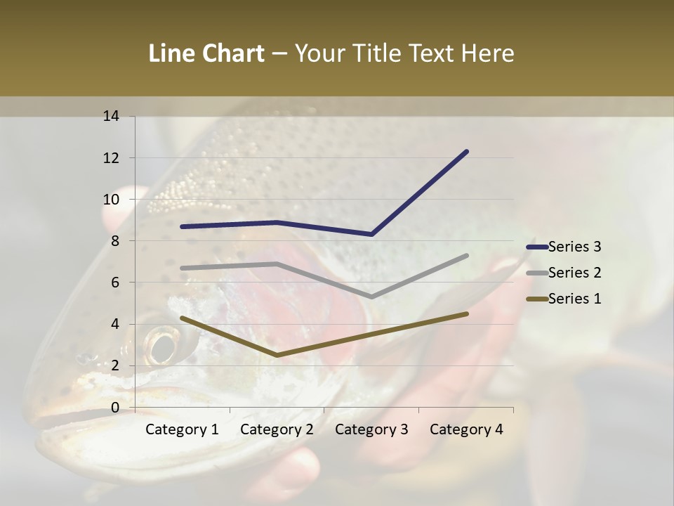 Rainbow Trout Caught Fly Fishing PowerPoint Template