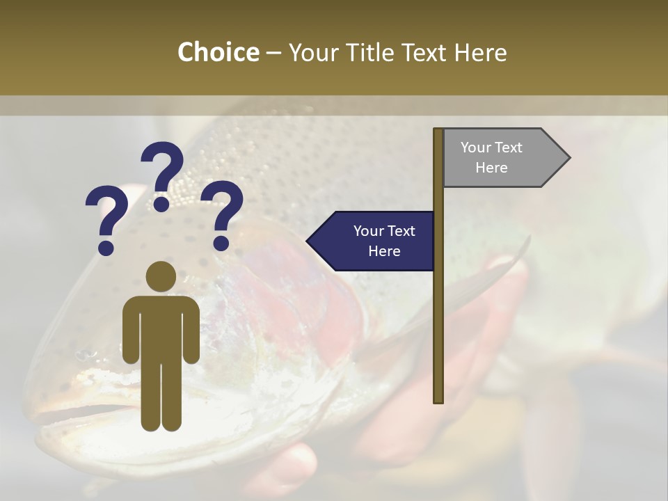 Rainbow Trout Caught Fly Fishing PowerPoint Template