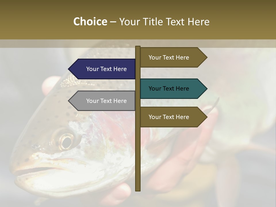 Rainbow Trout Caught Fly Fishing PowerPoint Template
