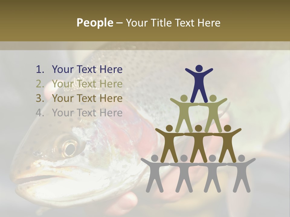 Rainbow Trout Caught Fly Fishing PowerPoint Template