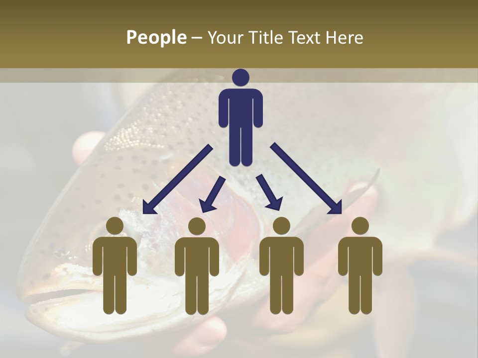 Rainbow Trout Caught Fly Fishing PowerPoint Template