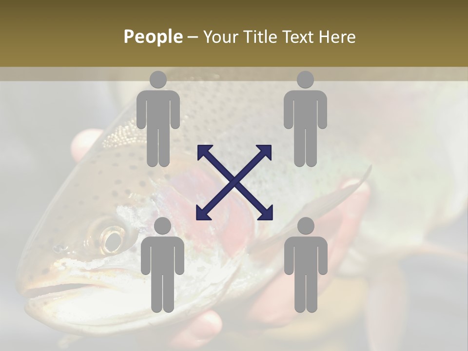 Rainbow Trout Caught Fly Fishing PowerPoint Template