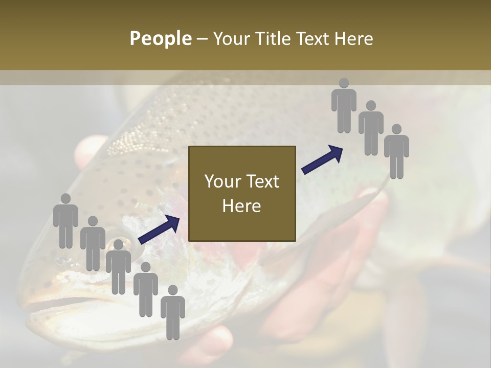 Rainbow Trout Caught Fly Fishing PowerPoint Template