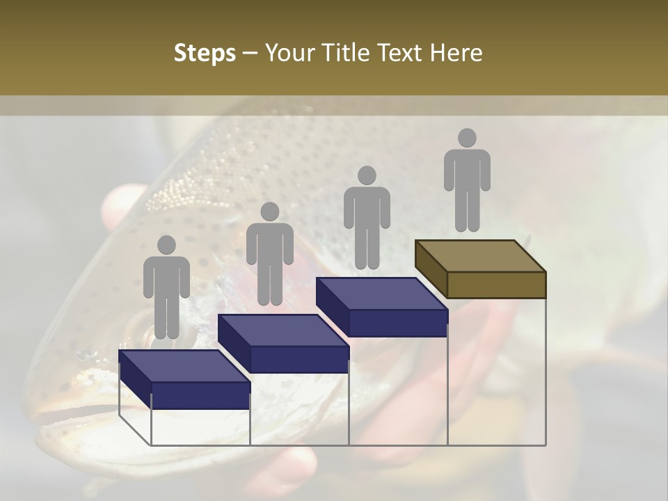 Rainbow Trout Caught Fly Fishing PowerPoint Template