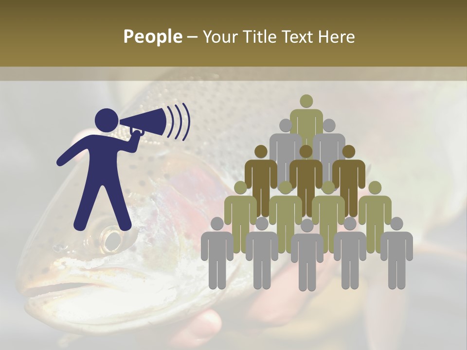 Rainbow Trout Caught Fly Fishing PowerPoint Template