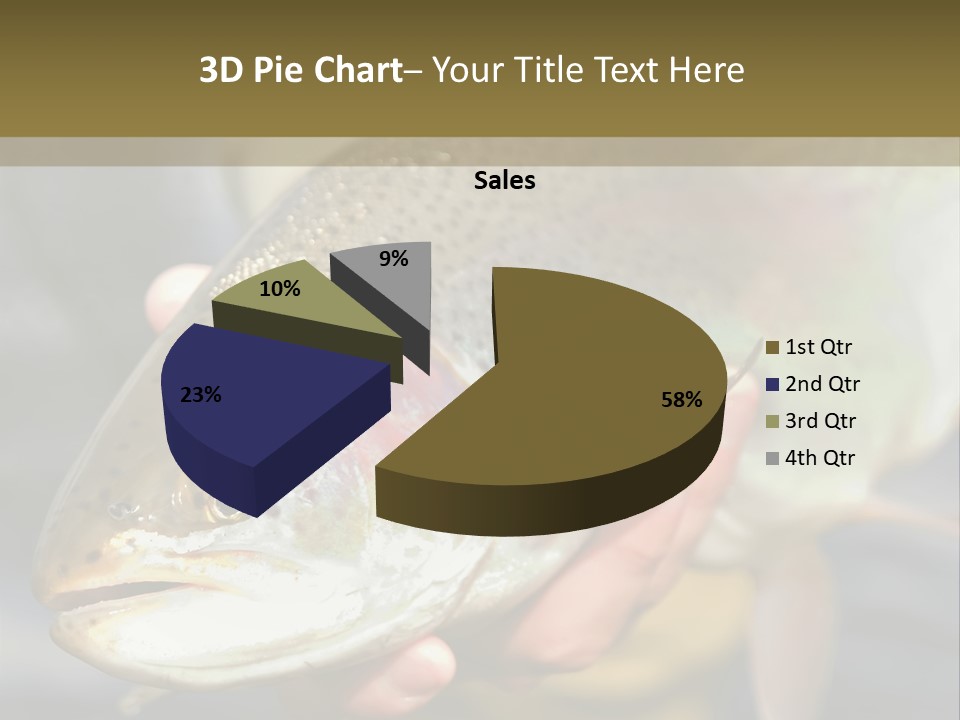 Rainbow Trout Caught Fly Fishing PowerPoint Template