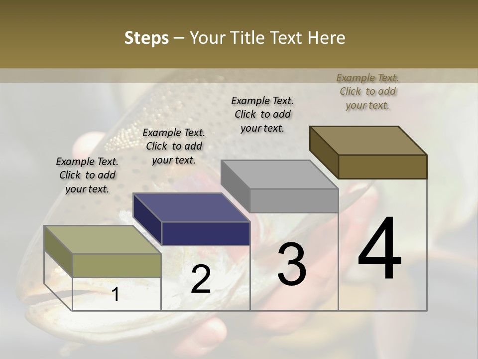 Rainbow Trout Caught Fly Fishing PowerPoint Template