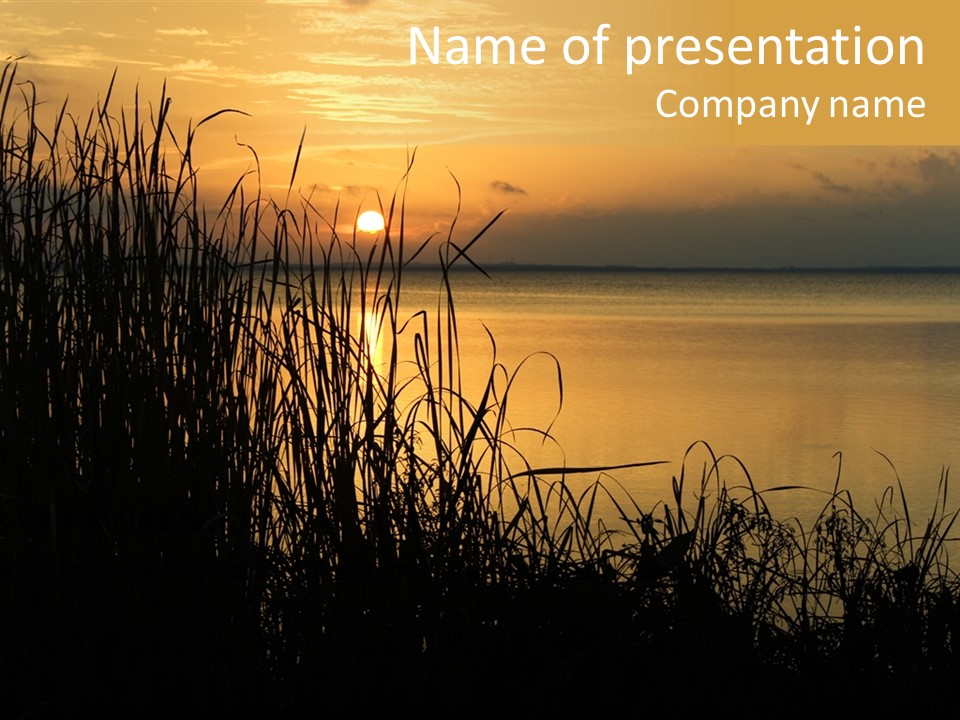 A Classic Sunset With Silhouetted Grasses In The Foreground. Lake Apopka, Florida. PowerPoint Template