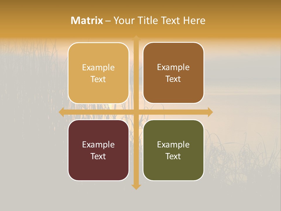 A Classic Sunset With Silhouetted Grasses In The Foreground. Lake Apopka, Florida. PowerPoint Template