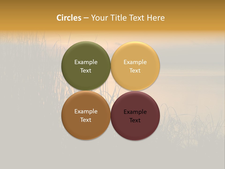 A Classic Sunset With Silhouetted Grasses In The Foreground. Lake Apopka, Florida. PowerPoint Template