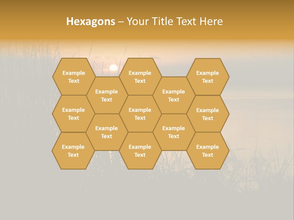 A Classic Sunset With Silhouetted Grasses In The Foreground. Lake Apopka, Florida. PowerPoint Template