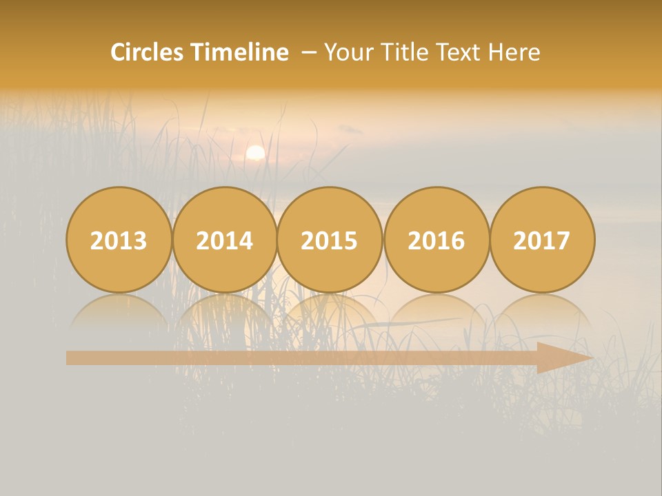 A Classic Sunset With Silhouetted Grasses In The Foreground. Lake Apopka, Florida. PowerPoint Template