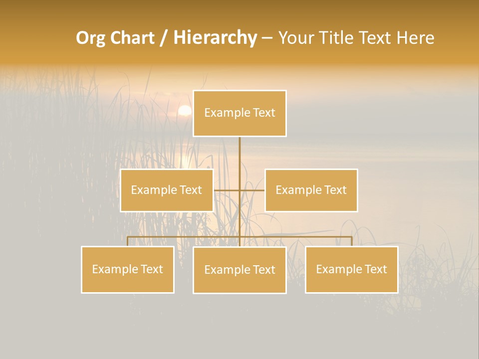 A Classic Sunset With Silhouetted Grasses In The Foreground. Lake Apopka, Florida. PowerPoint Template