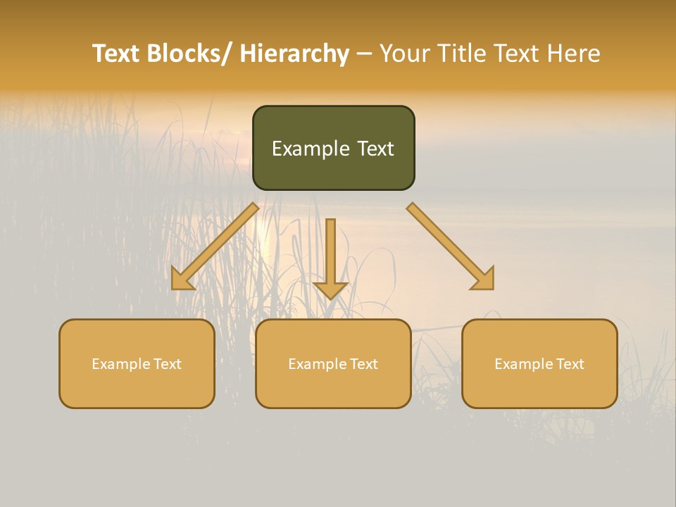 A Classic Sunset With Silhouetted Grasses In The Foreground. Lake Apopka, Florida. PowerPoint Template