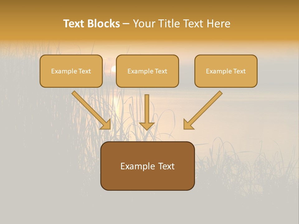 A Classic Sunset With Silhouetted Grasses In The Foreground. Lake Apopka, Florida. PowerPoint Template