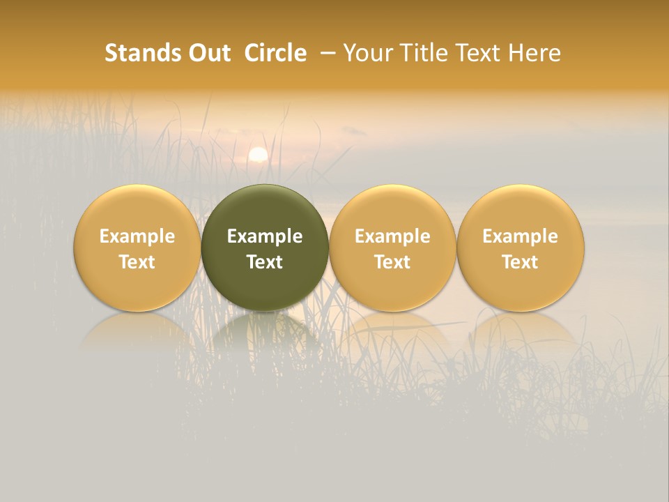 A Classic Sunset With Silhouetted Grasses In The Foreground. Lake Apopka, Florida. PowerPoint Template