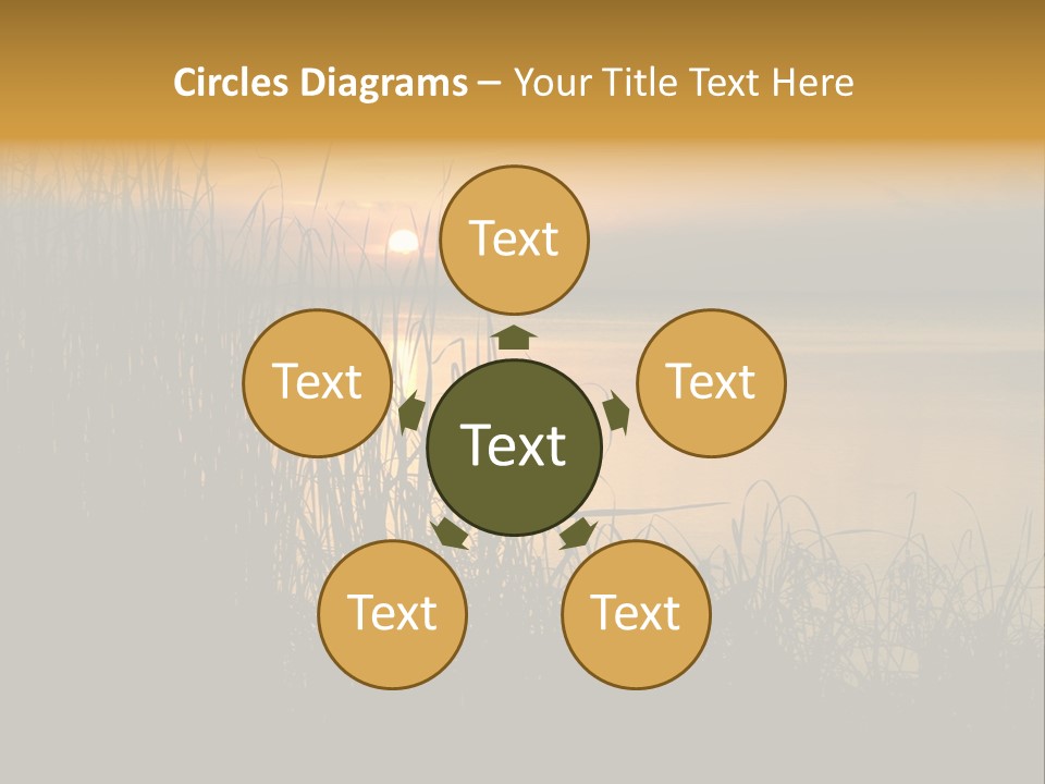 A Classic Sunset With Silhouetted Grasses In The Foreground. Lake Apopka, Florida. PowerPoint Template