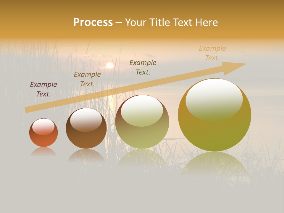 A Classic Sunset With Silhouetted Grasses In The Foreground. Lake Apopka, Florida. PowerPoint Template