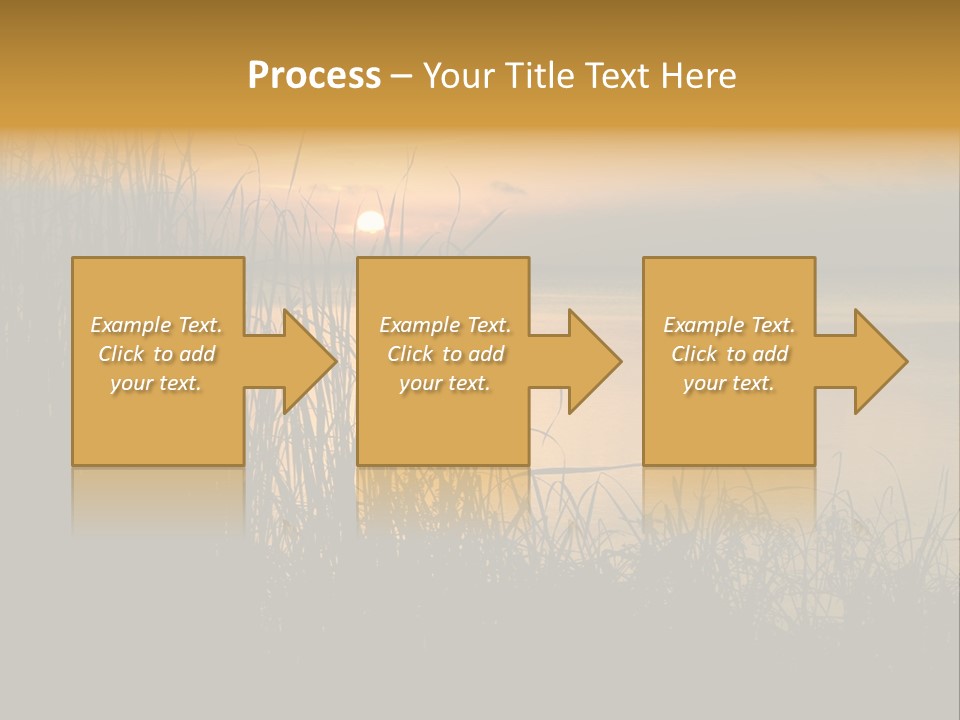 A Classic Sunset With Silhouetted Grasses In The Foreground. Lake Apopka, Florida. PowerPoint Template