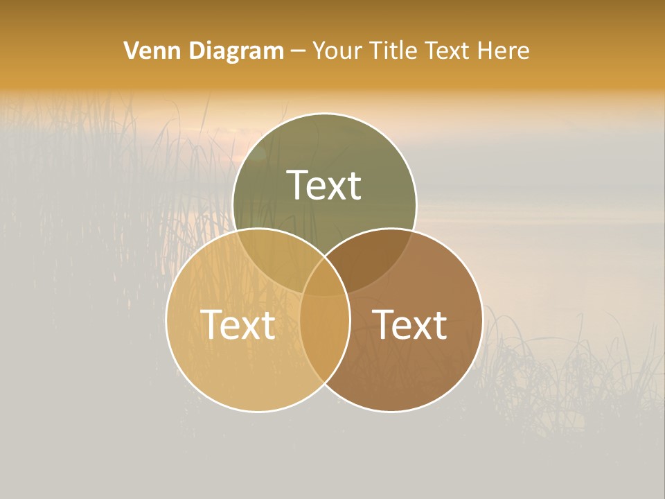 A Classic Sunset With Silhouetted Grasses In The Foreground. Lake Apopka, Florida. PowerPoint Template