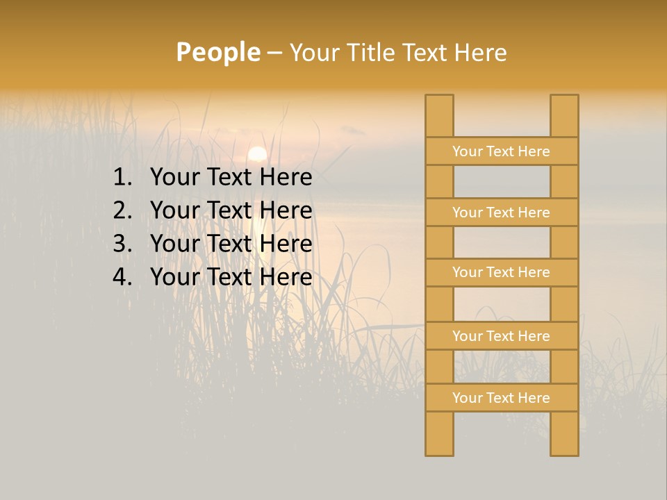 A Classic Sunset With Silhouetted Grasses In The Foreground. Lake Apopka, Florida. PowerPoint Template