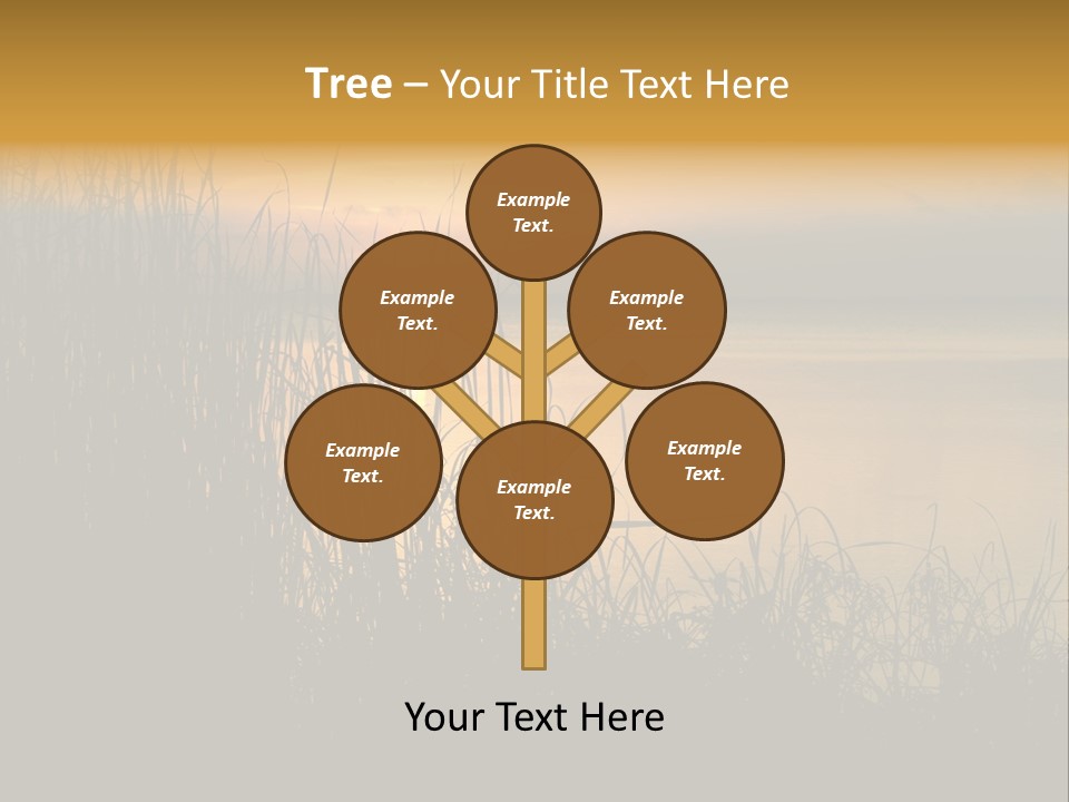 A Classic Sunset With Silhouetted Grasses In The Foreground. Lake Apopka, Florida. PowerPoint Template