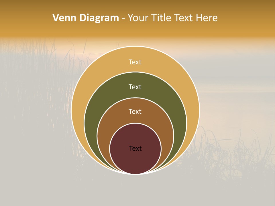 A Classic Sunset With Silhouetted Grasses In The Foreground. Lake Apopka, Florida. PowerPoint Template