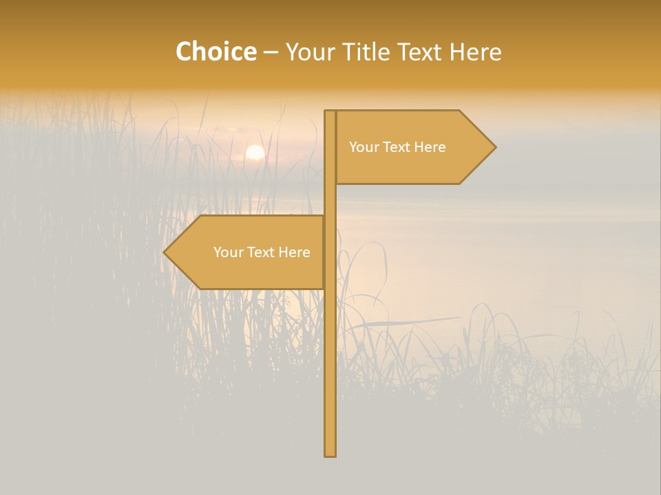 A Classic Sunset With Silhouetted Grasses In The Foreground. Lake Apopka, Florida. PowerPoint Template