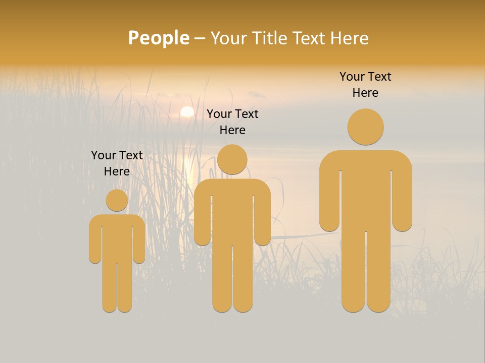 A Classic Sunset With Silhouetted Grasses In The Foreground. Lake Apopka, Florida. PowerPoint Template