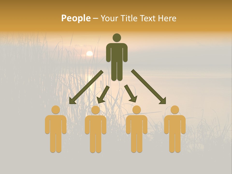 A Classic Sunset With Silhouetted Grasses In The Foreground. Lake Apopka, Florida. PowerPoint Template