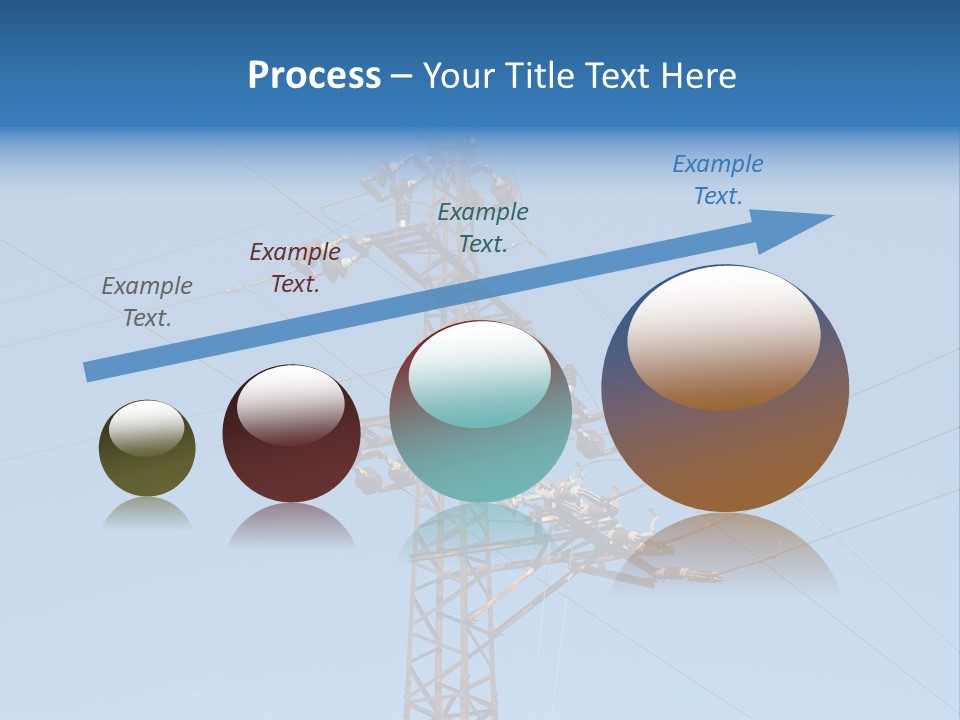 Photo Of A Coral Colony PowerPoint Template