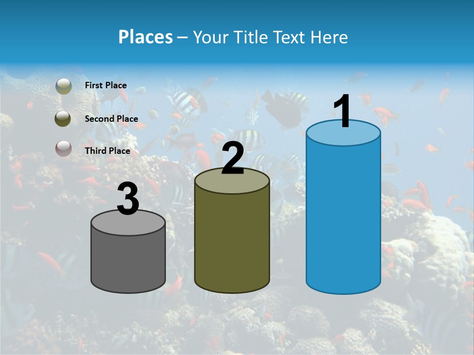 Photo Of A Coral Colony PowerPoint Template