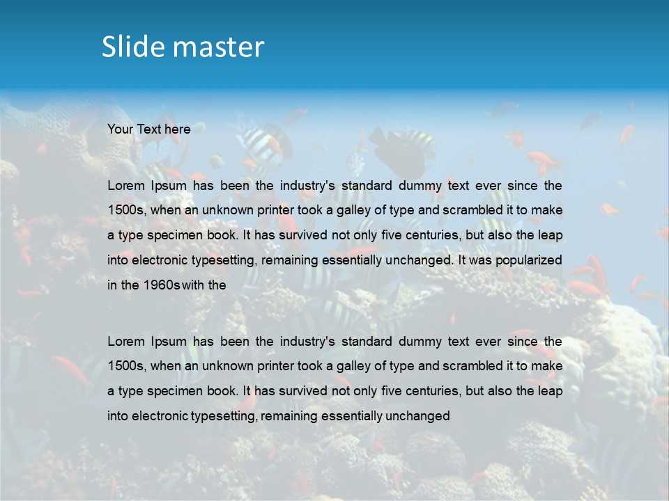 Photo Of A Coral Colony PowerPoint Template
