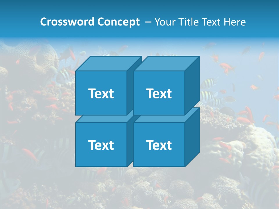 Photo Of A Coral Colony PowerPoint Template