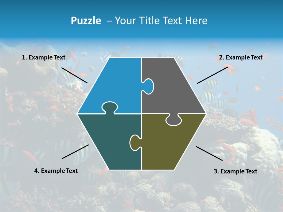 Photo Of A Coral Colony PowerPoint Template