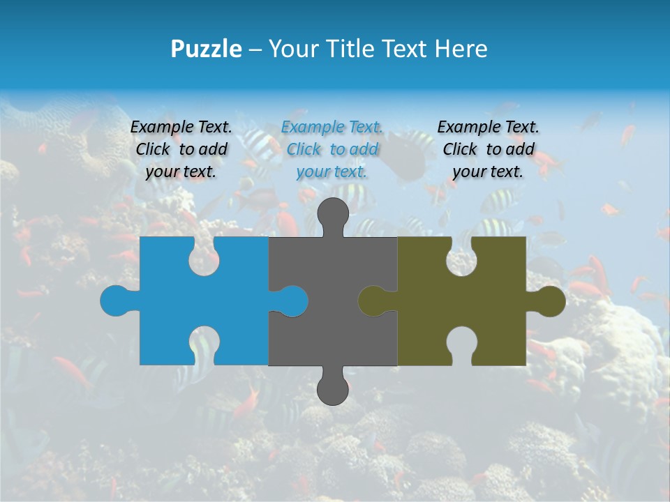 Photo Of A Coral Colony PowerPoint Template