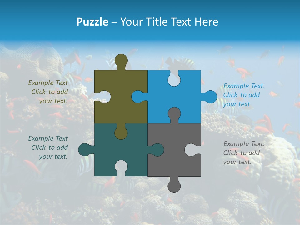 Photo Of A Coral Colony PowerPoint Template