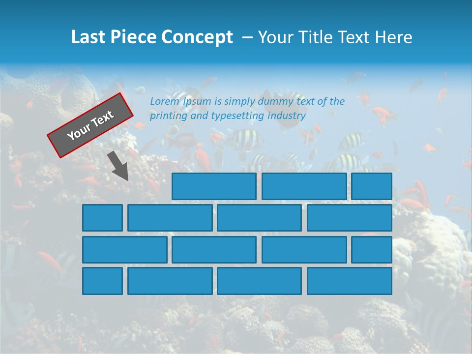 Photo Of A Coral Colony PowerPoint Template