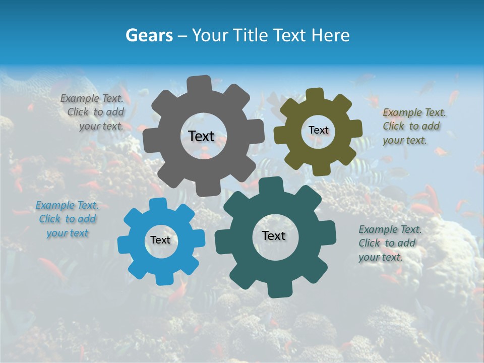 Photo Of A Coral Colony PowerPoint Template