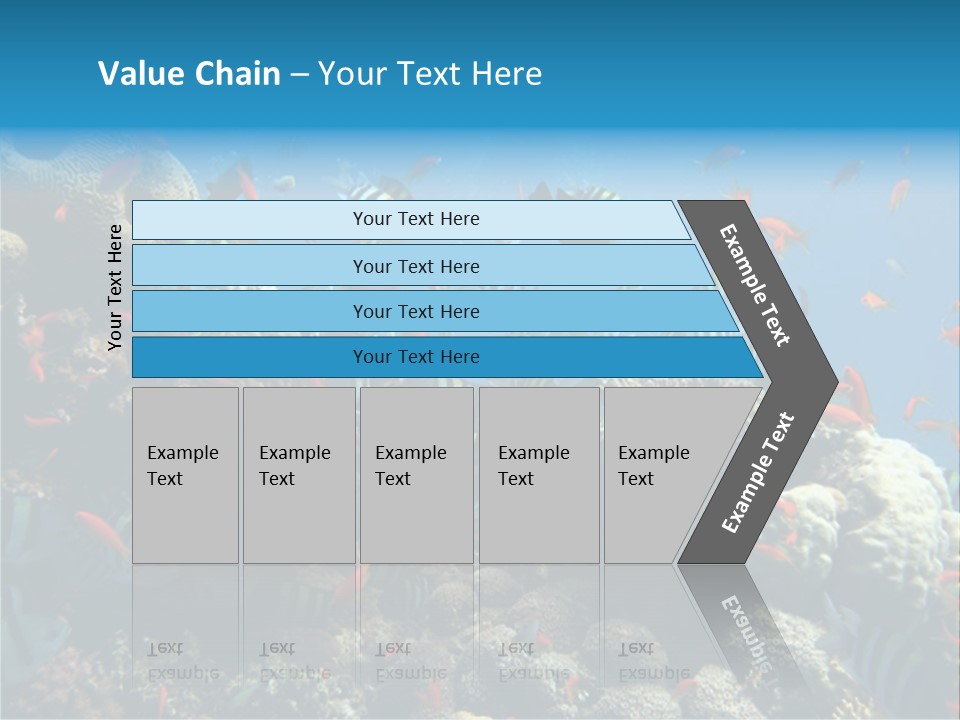 Photo Of A Coral Colony PowerPoint Template