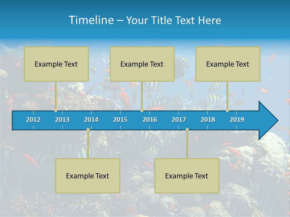 Photo Of A Coral Colony PowerPoint Template