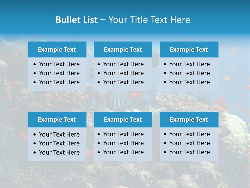 Photo Of A Coral Colony PowerPoint Template