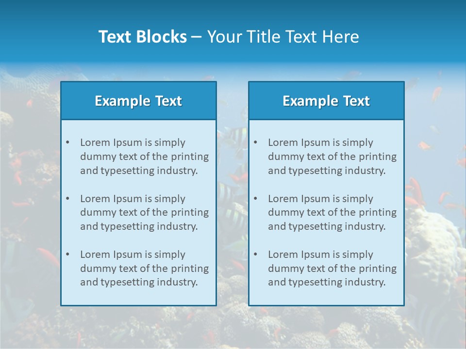 Photo Of A Coral Colony PowerPoint Template