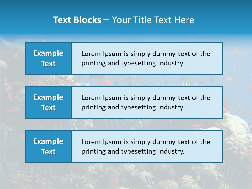 Photo Of A Coral Colony PowerPoint Template