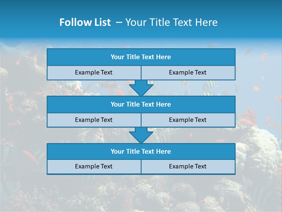 Photo Of A Coral Colony PowerPoint Template