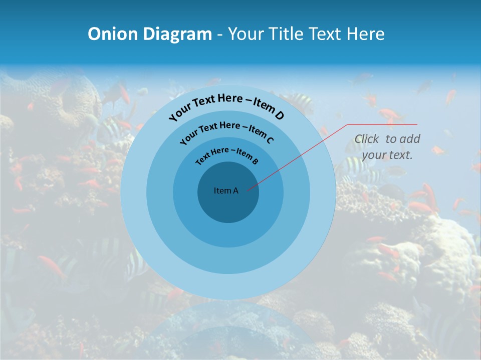 Photo Of A Coral Colony PowerPoint Template